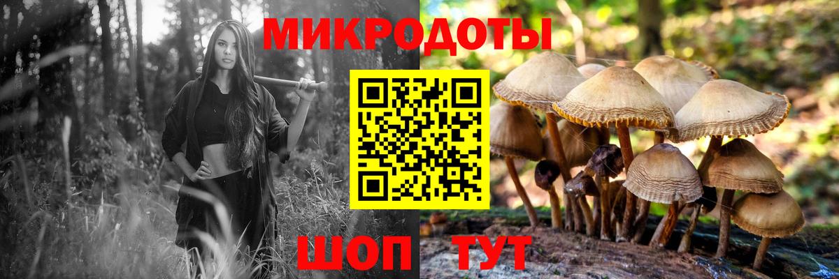 Псилоцибиновые грибы GOLDEN TEACHER  Вход с VPN  Мирный 