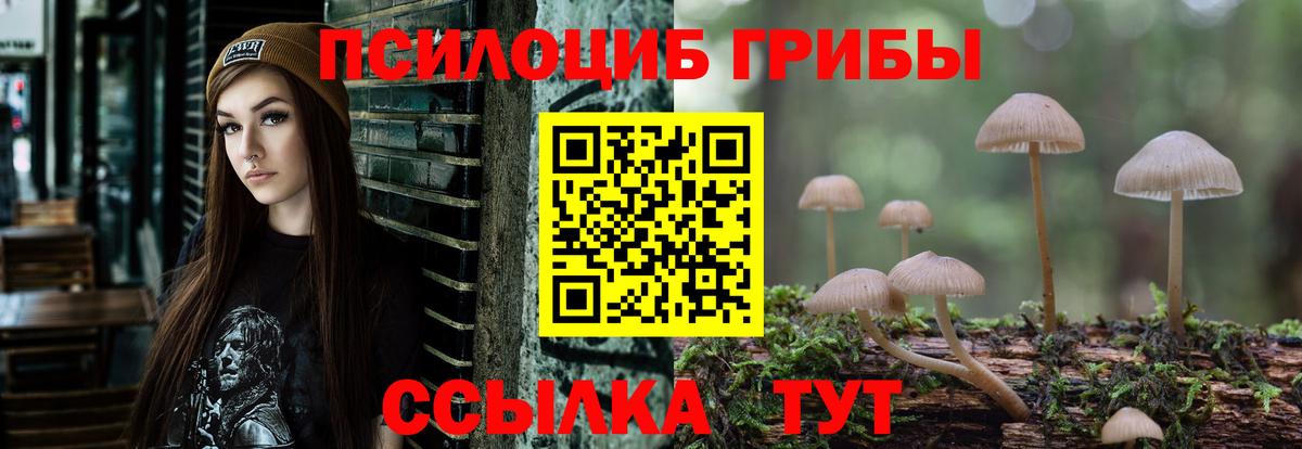 Галлюциногенные грибы мухоморы Мирный